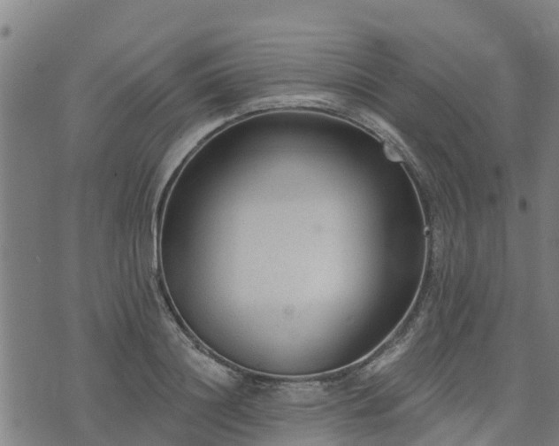 X0000074940844200609081349