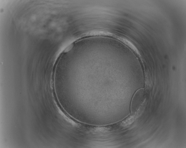 X0000074940847200609081349