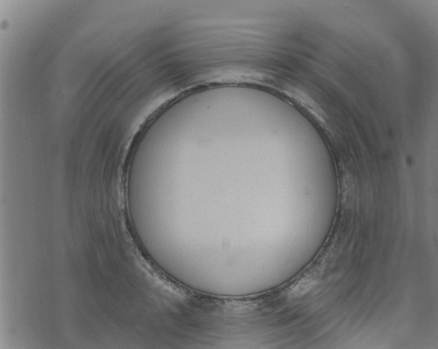 X0000074940848200609081349