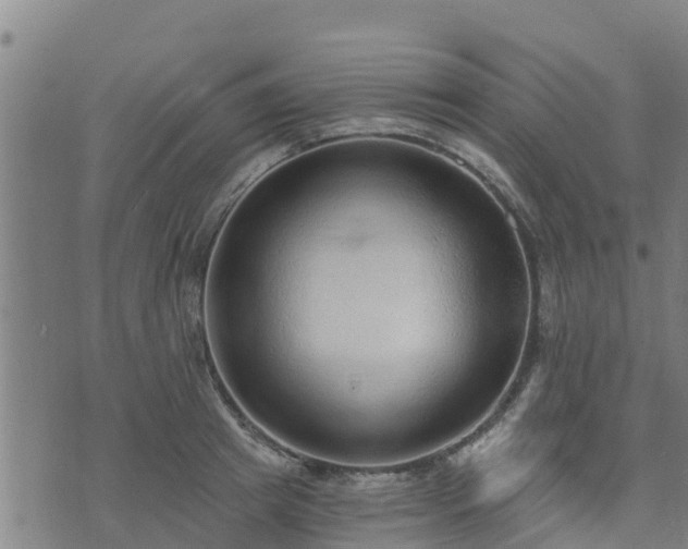 X0000074940849200609081349