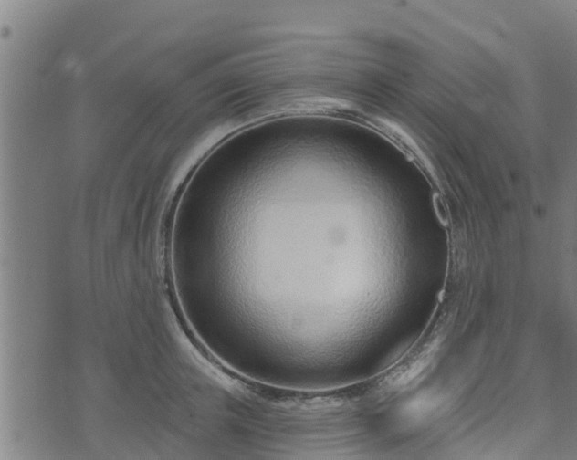 X0000074940851200609081349