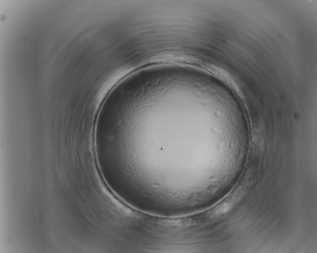 X0000074940855200609081349