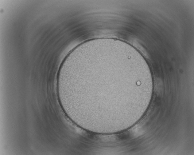 X0000074940856200609081349