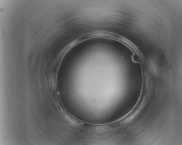 X0000074940857200609081349