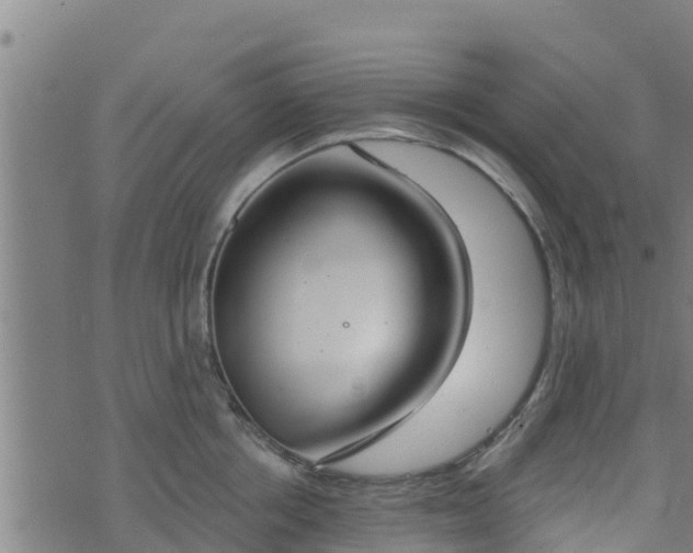 X0000074940858200609081349