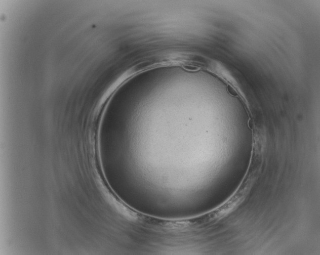 X0000074940859200609081349