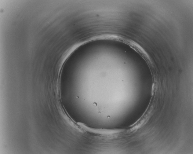 X0000074940860200609081349