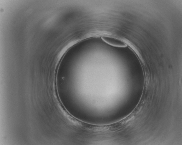 X0000074940861200609081349