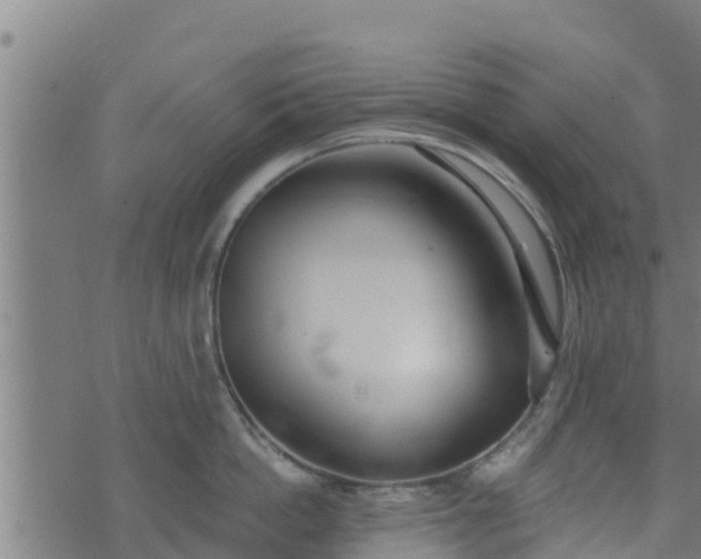 X0000074940862200609081349