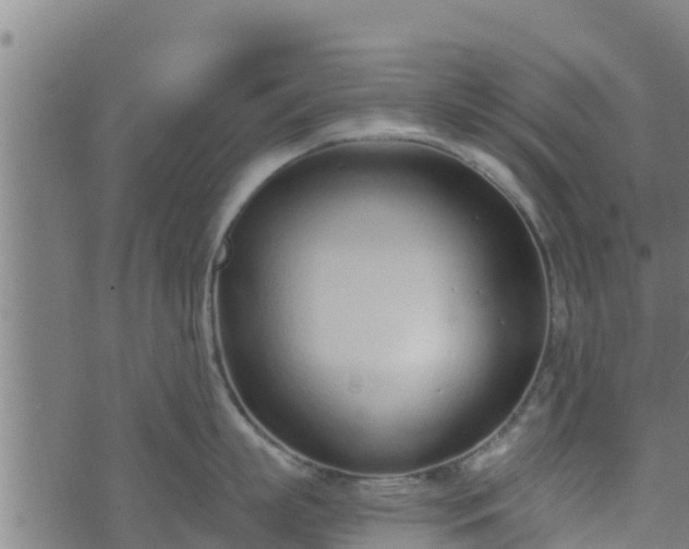 X0000074940863200609081349