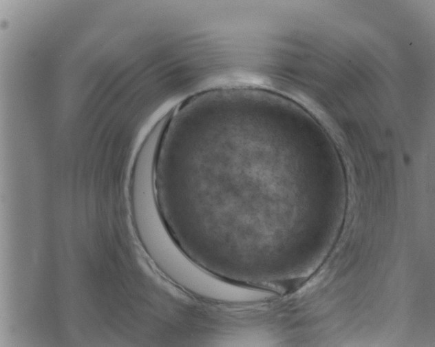 X0000074940864200609081349