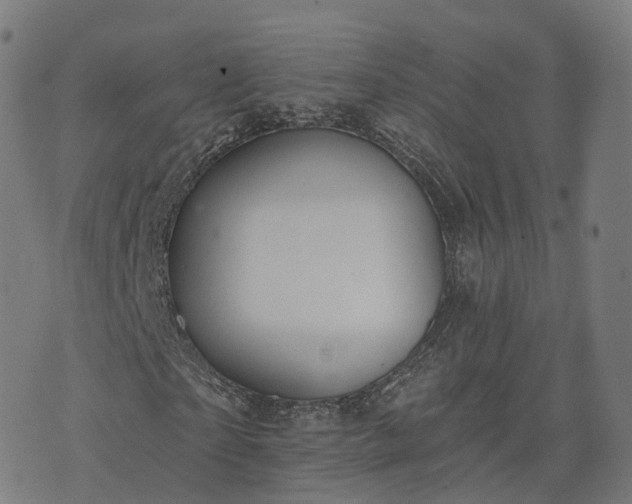 X0000074940865200609081348