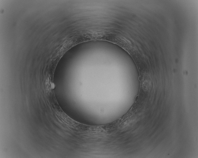 X0000074940866200609081348