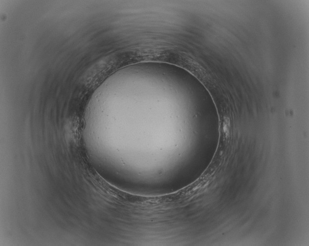 X0000074940867200609081348