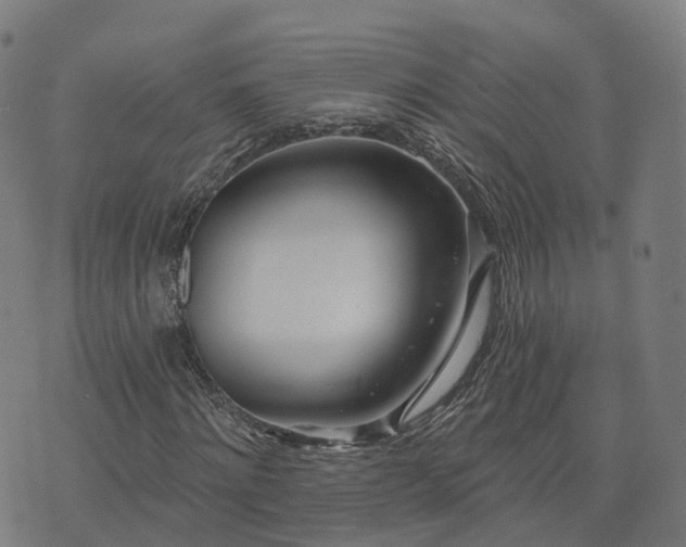 X0000074940868200609081348