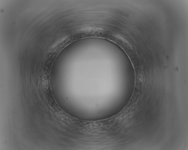 X0000074940869200609081348