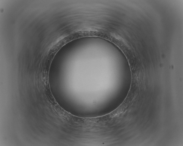 X0000074940870200609081348