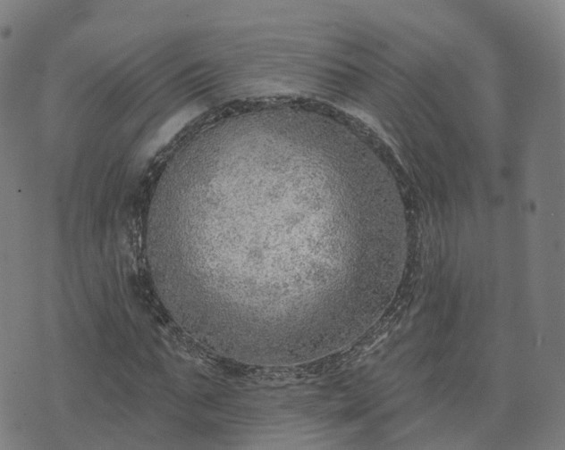 X0000074940871200609081348