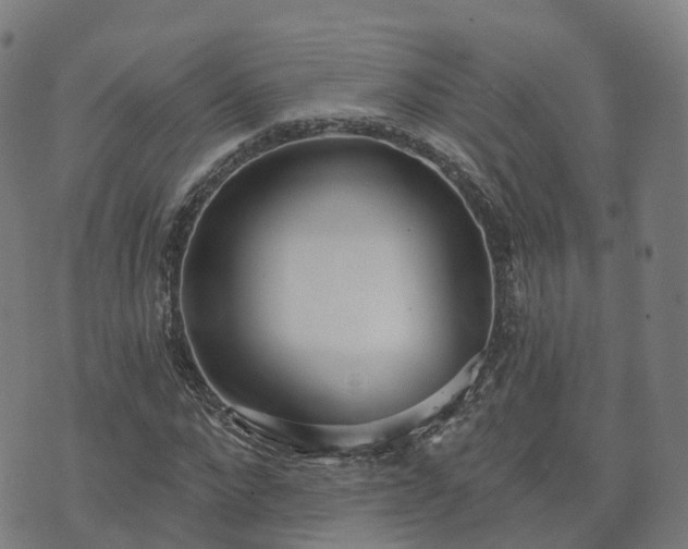 X0000074940872200609081348