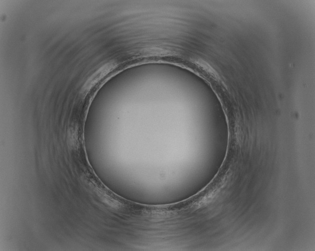 X0000074940873200609081348