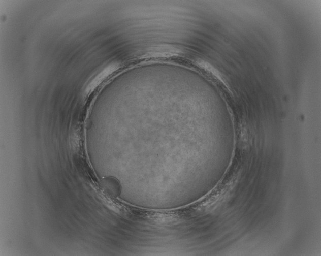 X0000074940874200609081348