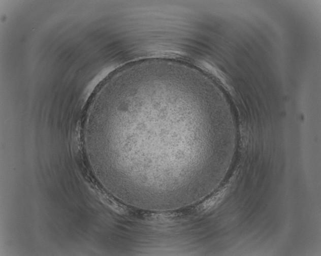 X0000074940875200609081348