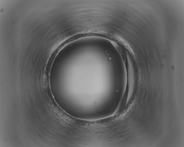 X0000074940876200609081348