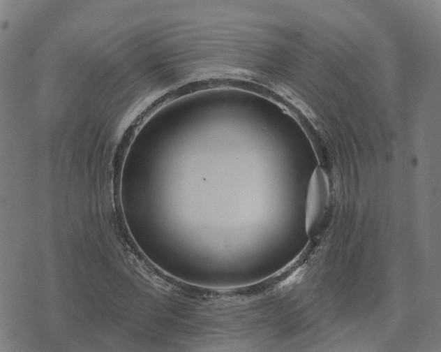 X0000074940877200609081348