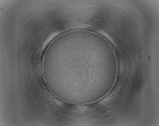 X0000074940878200609081348