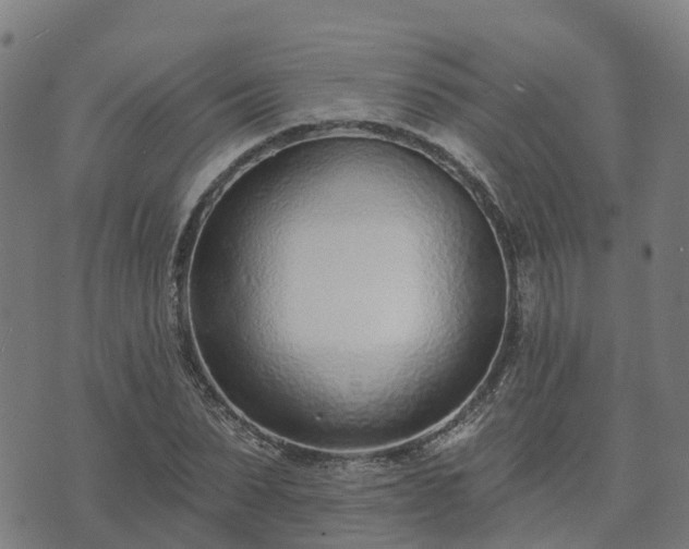 X0000074940879200609081348