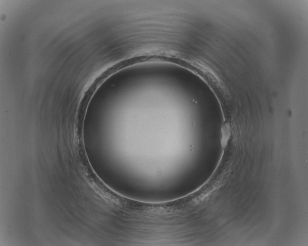 X0000074940880200609081348