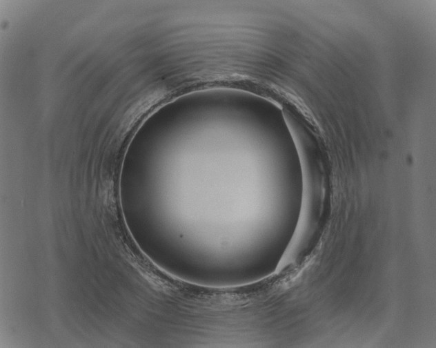 X0000074940881200609081348