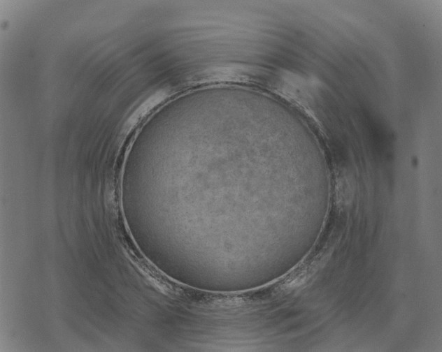 X0000074940882200609081348