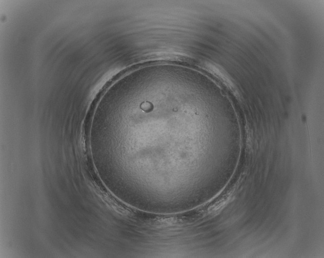 X0000074940883200609081348