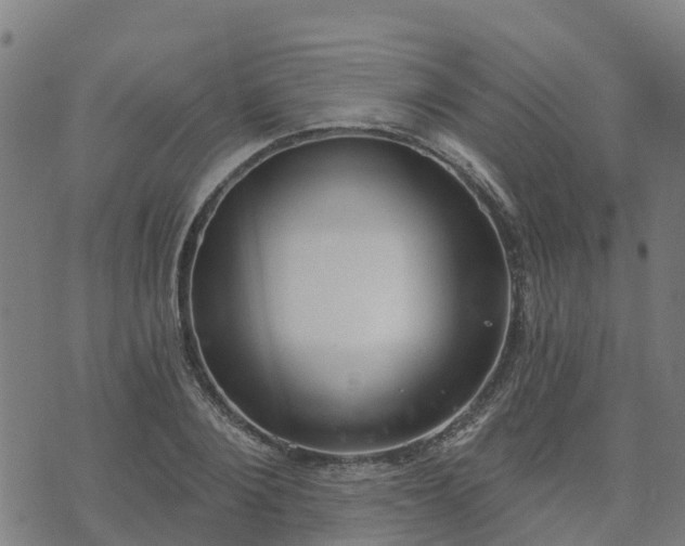 X0000074940884200609081348