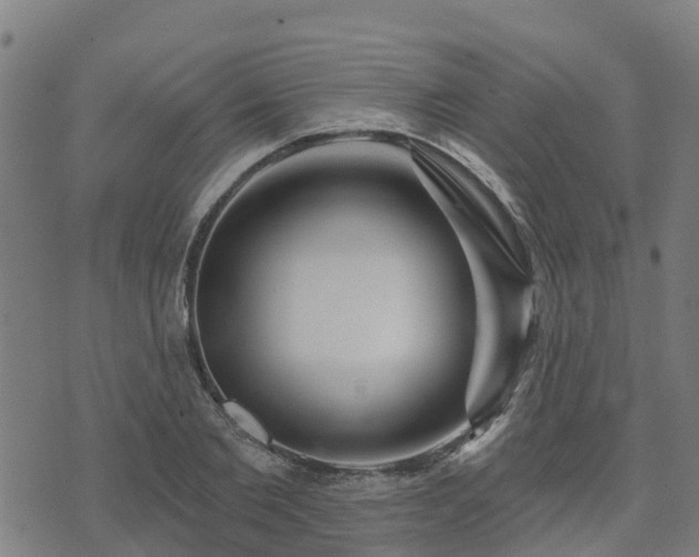 X0000074940885200609081348