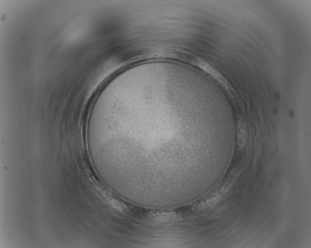 X0000074940886200609081348