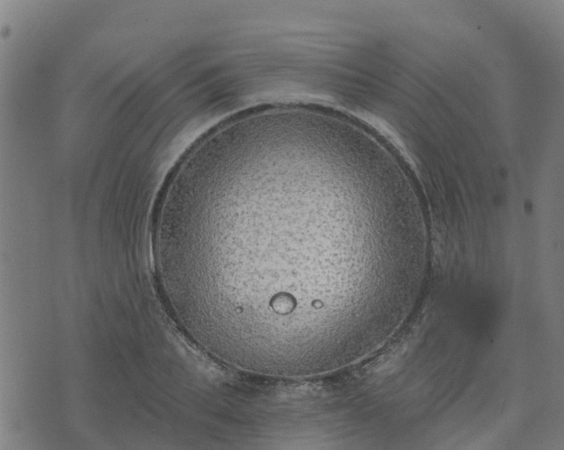 X0000074940887200609081348