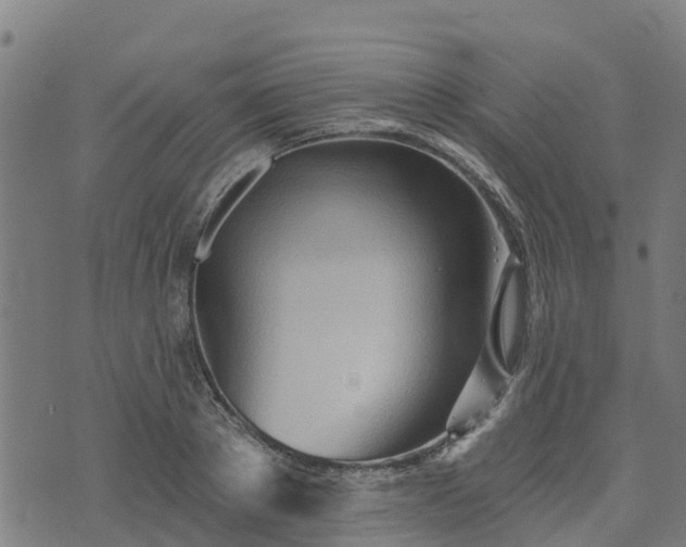 X0000074940889200609081348