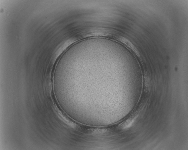 X0000074940890200609081348