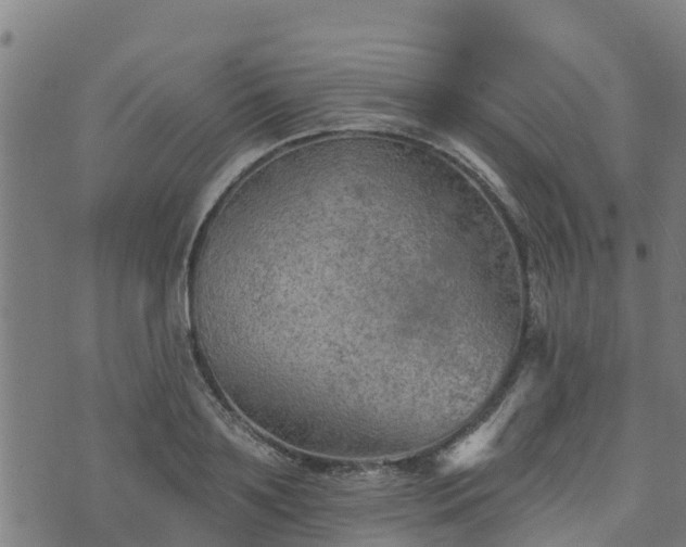 X0000074940891200609081348