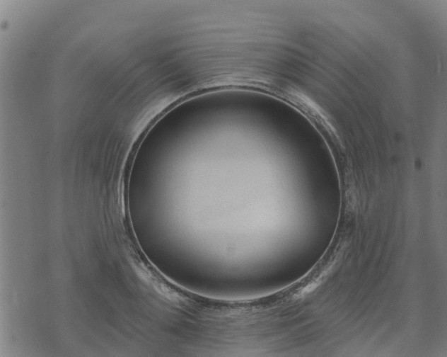 X0000074940892200609081348