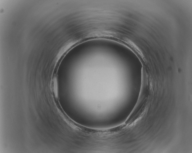 X0000074940893200609081348