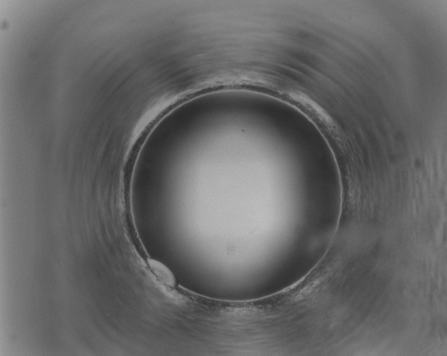 X0000074940894200609081348