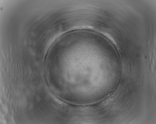 X0000074940895200609081348