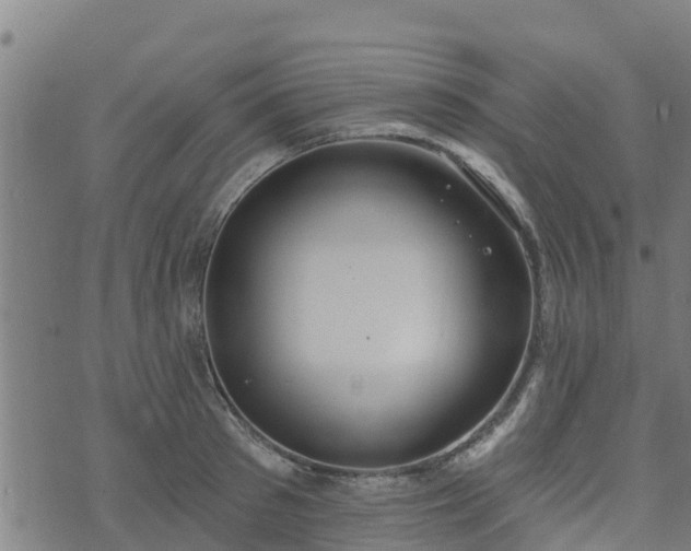 X0000074940897200609081348