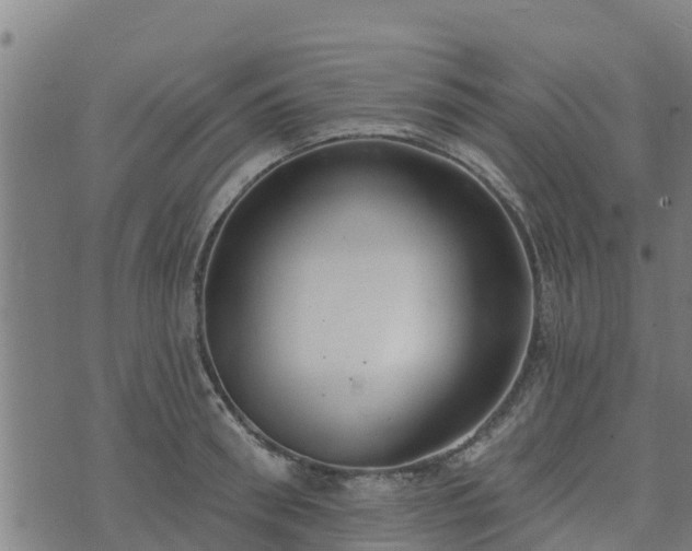 X0000074940898200609081348