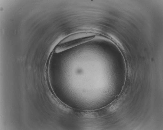 X0000074940899200609081348