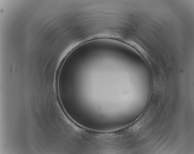 X0000074940902200609081348