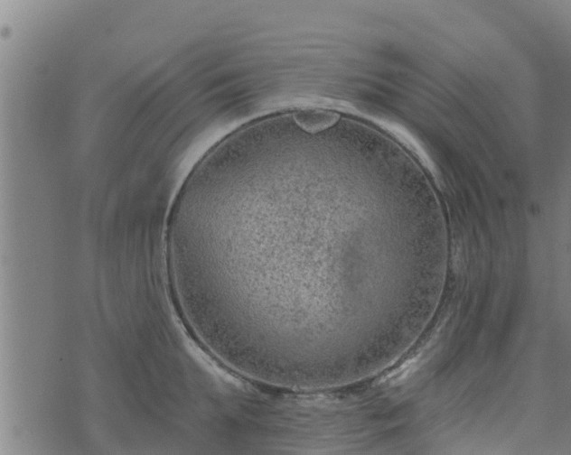 X0000074940903200609081348